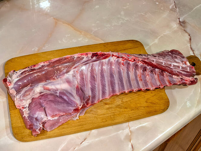 IMG_20260413_144625-01