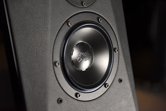 DSC_8775 — копия