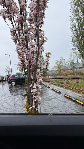 IMG_5997