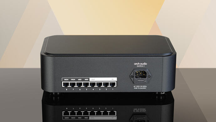 Arch Audio SWITCH-1 back