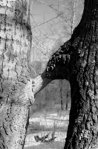 IMGP5974,2