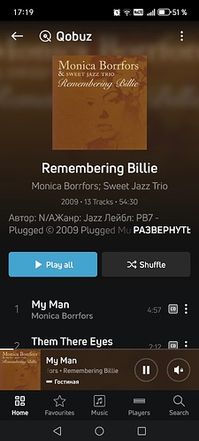 Screenshot_20250810_171921_com_lenbrook_sovi_bluesound_MainActivity