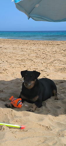 IMG_20250918_160044