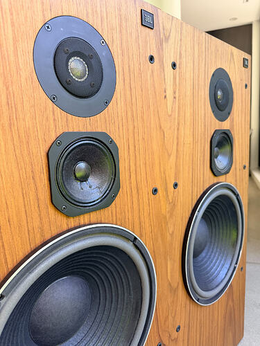 image.sonore_1790726632_3997225898979163462_73317595920_10