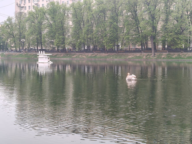 IMG20260512162434