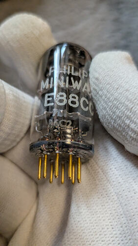 PXL_20260405_102804839.MACRO_FOCUS