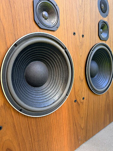 image.sonore_1790726632_3997225895856617992_73317595920_9