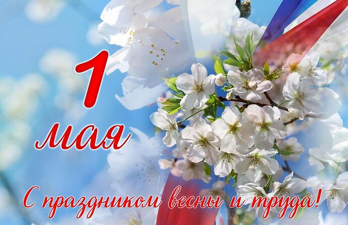 fc1abb7a-7a89-5e58-b7b5-9ffbf4c829e3