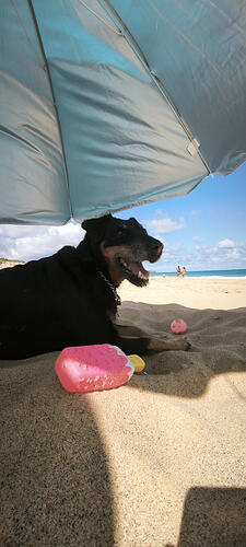IMG_20260719_173213