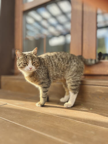 IMG_9890