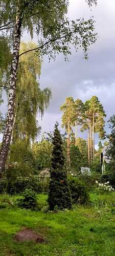 IMG-20250807-WA0012