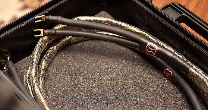 DSC_8992 — копия