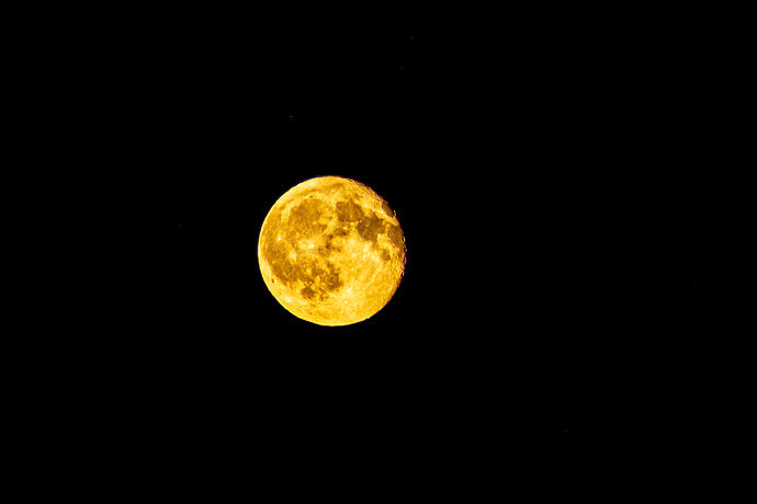 DSC_7823