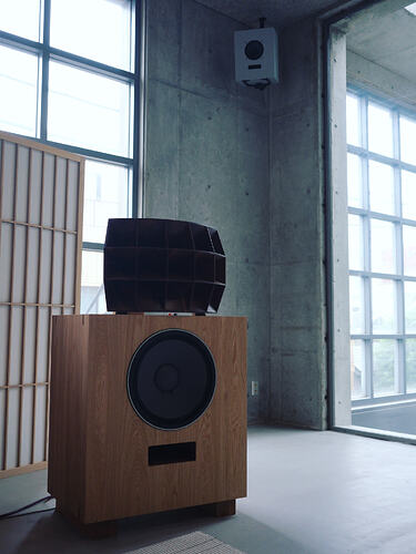 bose19781779516699390316171620219551565984473