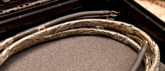 DSC_8980 — копия