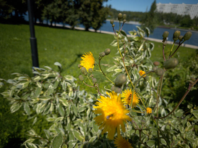 IMG_20260717_104108