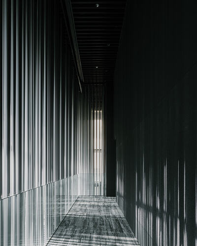 audeummuseum_3534192585469630530's2026-2-2-22.29.332 story