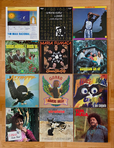 soundslikesafari_1783411842_3935865782922485777_59126791660