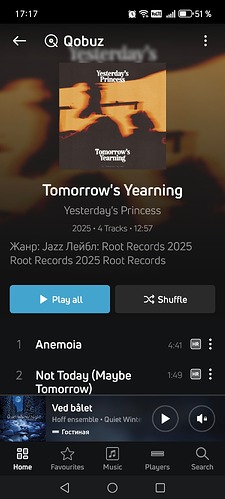 Screenshot_20250810_171753_com_lenbrook_sovi_bluesound_MainActivity