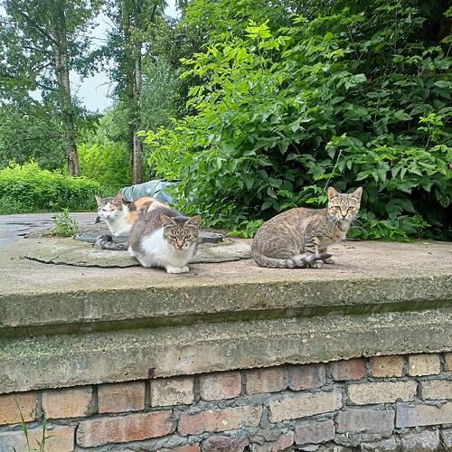 IMG20260712175008