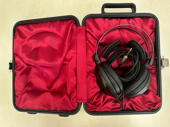 Audio-Technica ATH-W5000 Raffinato_01.JPG