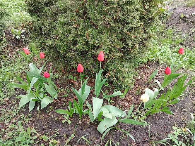 IMG20260511131858_01