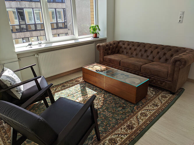 custom-coffee-table-housing-a-pair-of-functional-untouched-v0-2m4zc6sa7g6h1