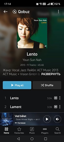 Screenshot_20250810_171430_com_lenbrook_sovi_bluesound_MainActivity