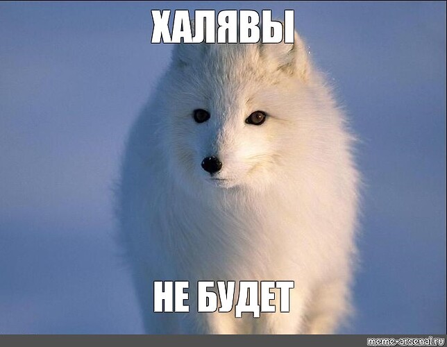 7b2cc5cc90c1ade77afd6ebe301357db