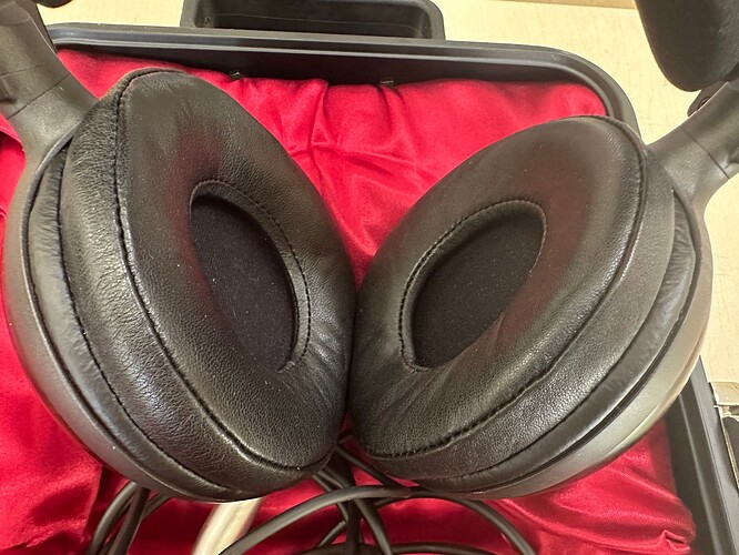 Audio-Technica ATH-W5000 Raffinato_04.JPG