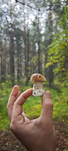 IMG_20260901_132948_995