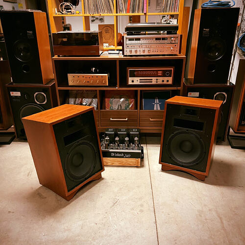 rewindaudio_1781888438_3923087013112305383_46379138