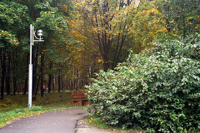 Image3