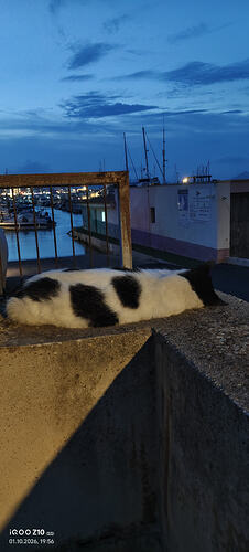 IMG_20261001_195653