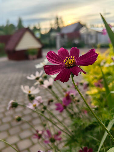 IMG_20260708_205340