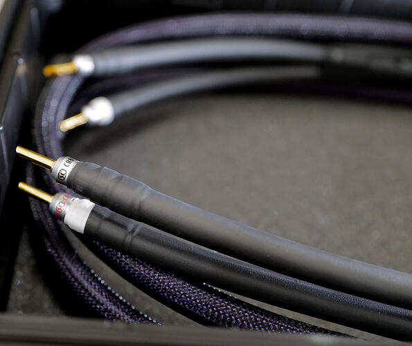 A1000456 — копия