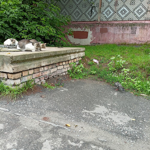 IMG20260712174956
