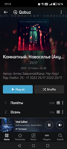 Screenshot_20250810_171145_com_lenbrook_sovi_bluesound_MainActivity