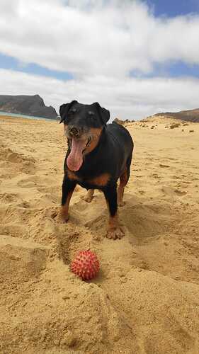 IMG-20250917-WA0021