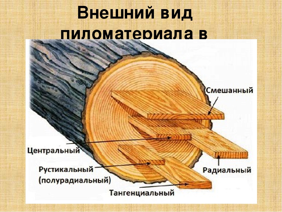 Журнал древесины. Тангенциальная вырезка металла. Тангенциальные образцы. 2 Ex log распил что такое. Тангенциальное направление.