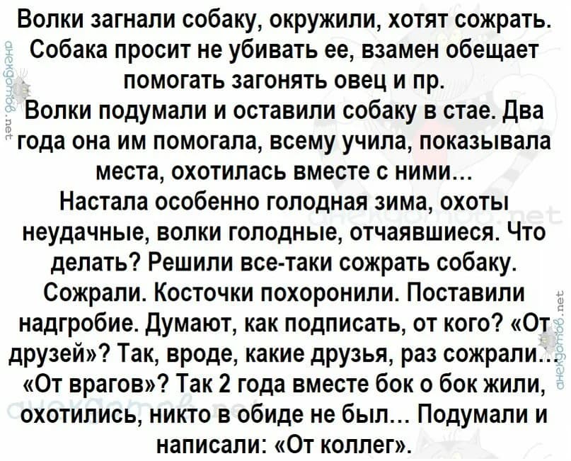 Анекдот статуя. Анекдот про Волков и собаку от коллег. Анекдот от коллег волки собака. Анекдот про собаку и Волков про коллег. Анекдот про коллег и Волков.