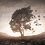 Ash_leaf