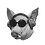 MikkeOz